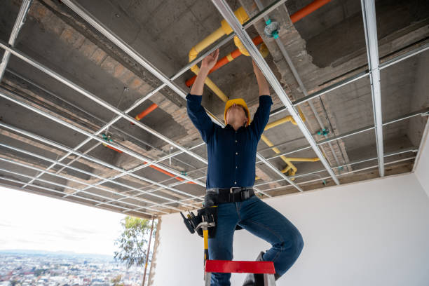 Best Residential Plumbing Services  in Savannah, MO